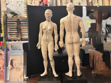 Choose from one, two, or three acupuncture sessions