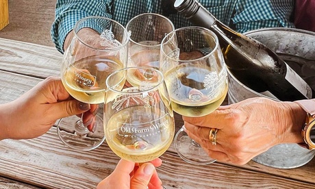 Up to 55% Off Wine Tastings at Old Farm Winery at Hartland Up to 55% Off Wine Tastings at Old Farm Winery at Hartland