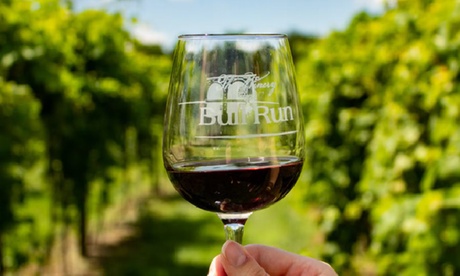 Up to 41% Off on Wine Tasting at The Winery at Bull Run