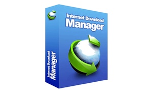 Internet Download Manager: 1-Year or Lifetime Subscription