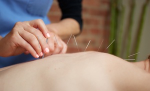 Comprehensive acupuncture sessions and facial rejuvenation treatments