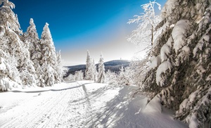 Thüringer Wald: 2 bis 5 Nächte mit Frühstück oder All Inclusive