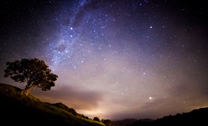 Stern-Registrierung + Zertifikat Stern-Registrierung + Zertifikat