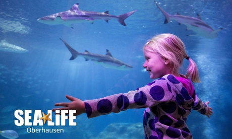 Ticket: SEA LIFE Oberhausen Ticket: SEA LIFE Oberhausen