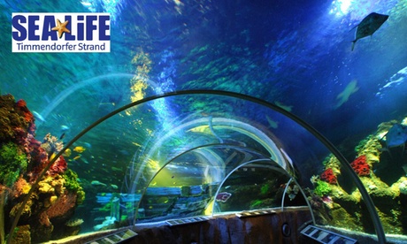 Standard-Ticket SEA LIFE Standard-Ticket SEA LIFE