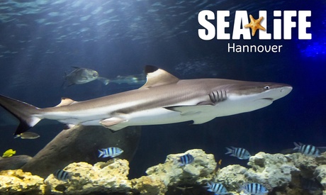 Standard-Ticket SEA LIFE Hannover Standard-Ticket SEA LIFE Hannover