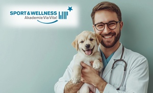 Online-Ausbildung: Tierheilpraktiker/in & Tierphysiotherapeut/in Online-Ausbildung: Tierheilpraktiker/in & Tierphysiotherapeut/in