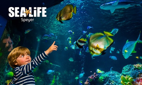 Ticket für 1 Kind oder 1 Erwachsenen für das „SEA LIFE Speyer“ Ticket für 1 Kind oder 1 Erwachsenen für das „SEA LIFE Speyer“
