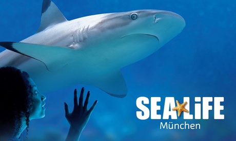 Ticket für 1 Kind oder 1 Erwachsenen für das „SEA LIFE München“ Ticket für 1 Kind oder 1 Erwachsenen für das „SEA LIFE München“