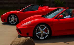 Bis zu 60% Rabatt auf den Rennauto bei Red Devil Racing