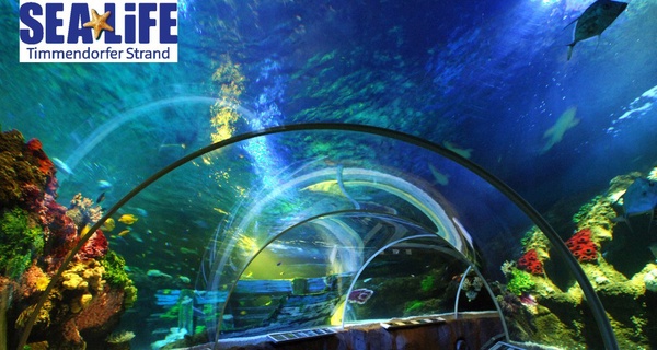 Eintrittskarte für SEA LIFE Timmendorfer Strand