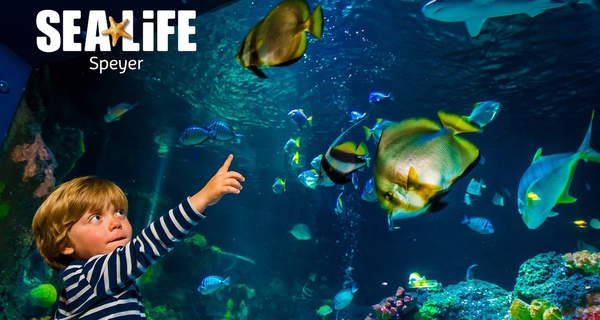 Ticket für 1 Kind oder 1 Erwachsenen für das  „SEA LIFE Speyer“