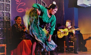 Show flamenco con tapeo andaluz