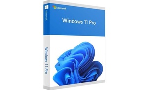 Microsoft Windows 11 Professional