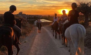 Paseo a caballo para 2 o 4 personas en Hípica Los Jarales