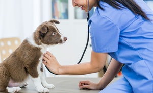 e-Curso: técnico veterinario