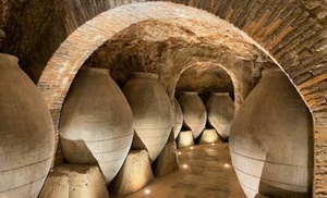 Visita a bodega con degustación de vinos en Bodega Pedro García