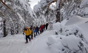 Excursión con raquetas por la Sierra de Guadarrama para 1 o 2 personas