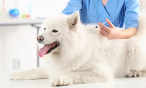 Vacunas para perros o gatos con Centro Veterinario Mukay Vallecas