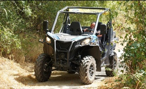 Paseo de 90 min en 1 o 2 coches tipo 