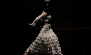 Entrada a espectáculo flamenco en grada o mesa VIP para 1 persona