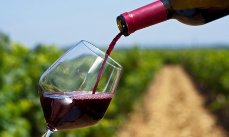 Cata de vinos ecológicos en Bodega ecológica Luis Saavedra