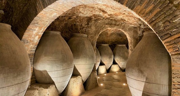 Conviértete en un profesional: visita a bodega con degustación