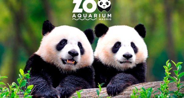 Zoo Aquarium de Madrid: una entrada para adulto, infantil o sénior