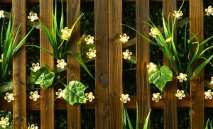 1 o 2 stringhe di luci LED ad energia solare 1 o 2 stringhe di luci LED ad energia solare