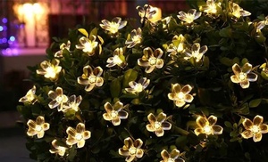 1 o 2 stringhe con 50 luci a LED a forma di fiori di ciliegio 1 o 2 stringhe con 50 luci a LED a forma di fiori di ciliegio