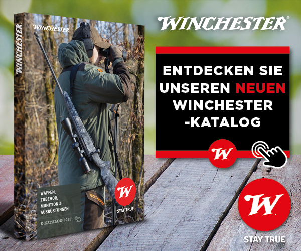 Content Library Image