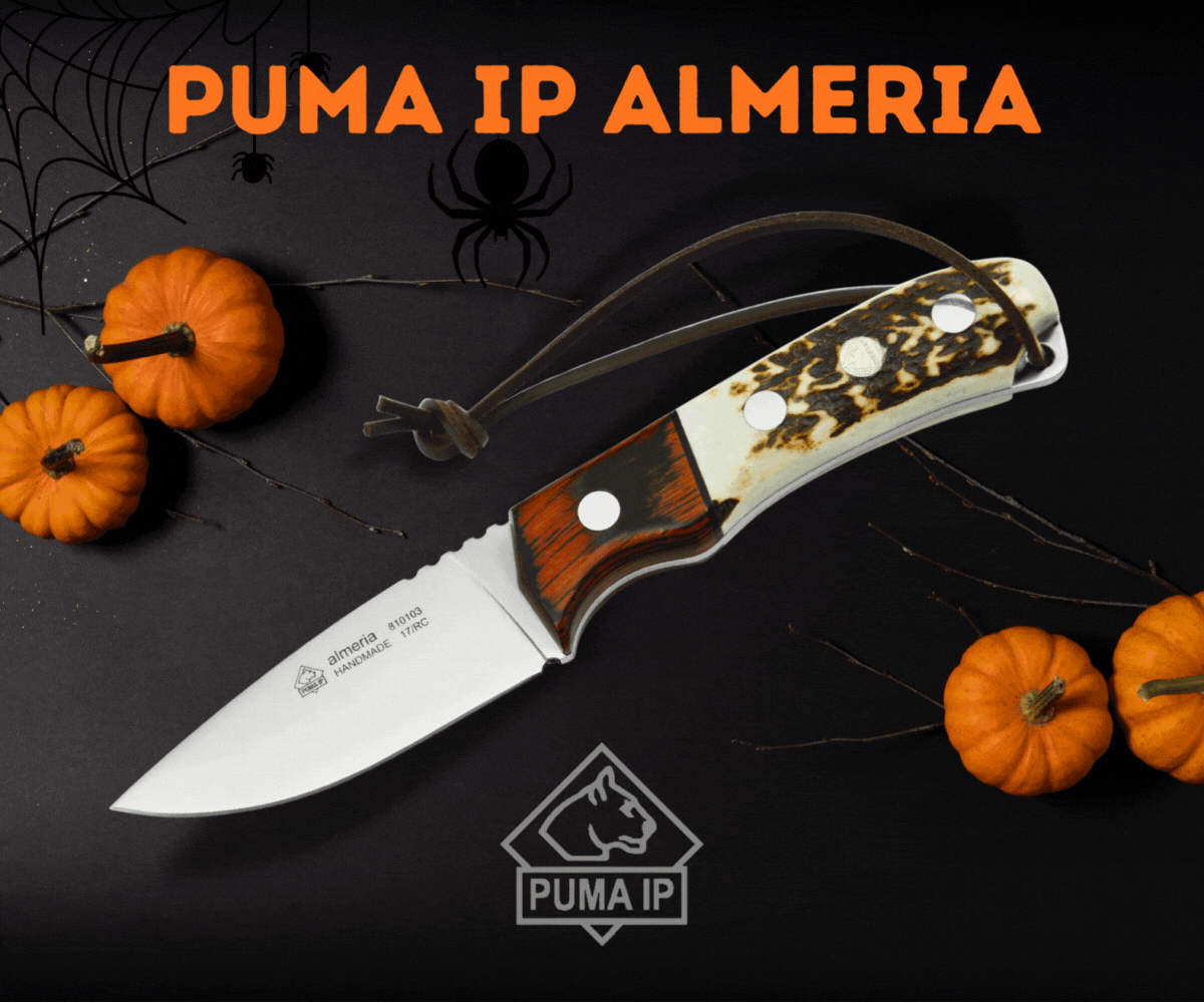 PUMA IP Almeria