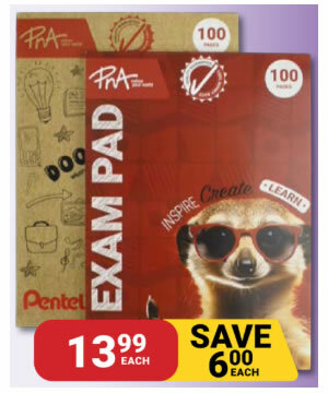PNA_Exam_Pad_Punched_A4_100_Page