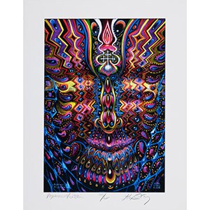 Alex Grey Ayahuasca Visitation