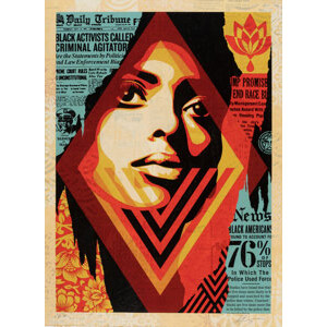 Shepard Fairey (b. 1970) Bias By Number HPM, 2019