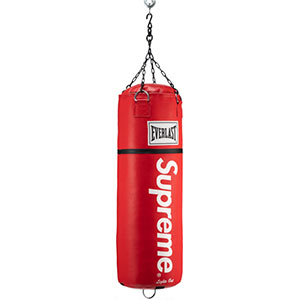 Supreme x Everlast Leather Punching Bag, 2016