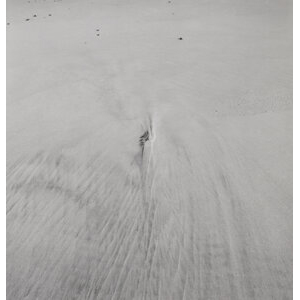 Harry Callahan (American, 1912-1999) Cape Cod, 1972