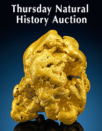 January 9 Thursday Natural History Select Auction