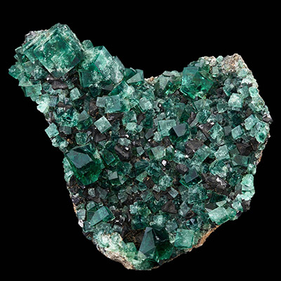 Fluorite and Galena