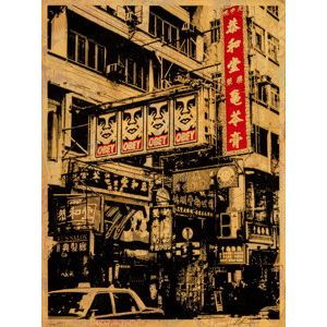 Shepard Fairey (b. 1970) Visual Disobedience, 2016