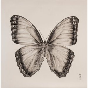 Yirong Zhang (b. 1979) Butterly ??, 2018
