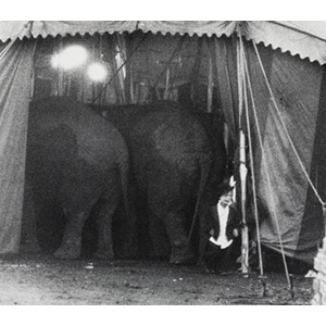 Bruce Davidson (American, b. 1933) Jimmy Armstrong, Circus, 1958