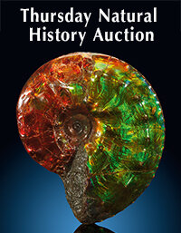 October 23 Thursday Natural History Select Auction