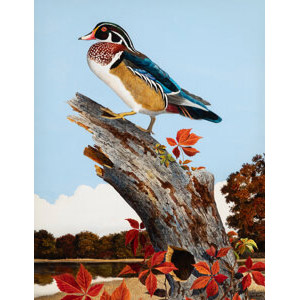 Scott Gentling (American, 1942-2011) and Stuart Gentling (American, 1942-2006) The Wood Duck