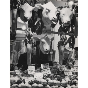 Todd Webb (American, 1905-2000) Tête de Veau, rue Mouffetard, Paris, 1951