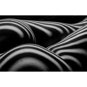 Lucien Clergue (French, 1934-2014) Zebra Nude, 1997