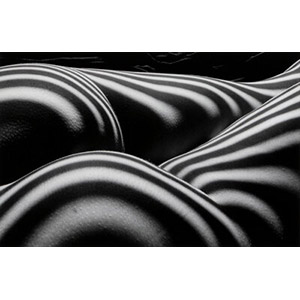 Lucien Clergue (French, 1934-2014) Zebra Nude, 1997