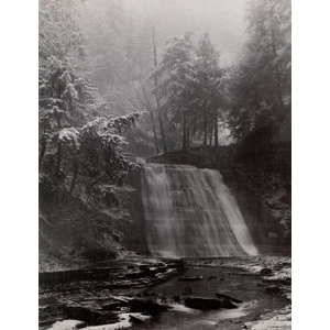Minor White (American, 1908-1976) Stony Brook State Park, 1959