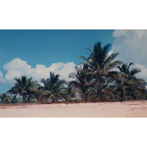 Marine Hugonnier (French, b. 1969) Beach of the New World (Monte Pascoal National Park, Brazil) No. 1, 2005