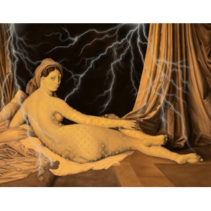 Zevs (b. 1977) Illuminated Odalisque, 2012